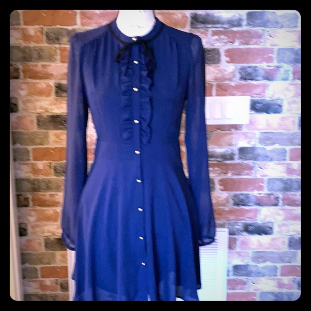 Super sexy Express one of a kind sheer/silk dress